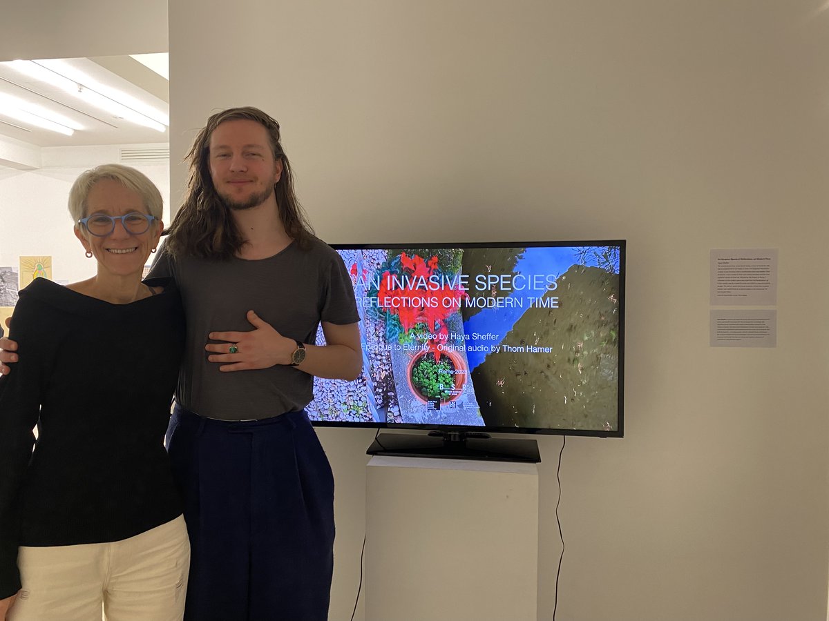 Haya Sheffer tweet media