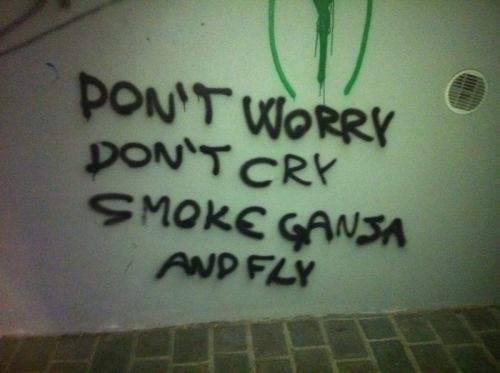Fly with weed