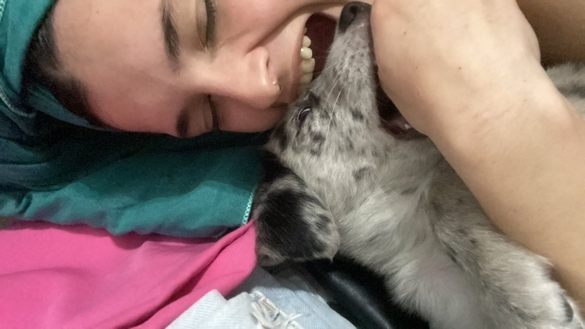 samaraserranoo's tweet photo. no sabría explicaros lo súper híper mega feliz que me hace coco😭💗💞💘🥹 https://t.co/bdRwH5F8Eu