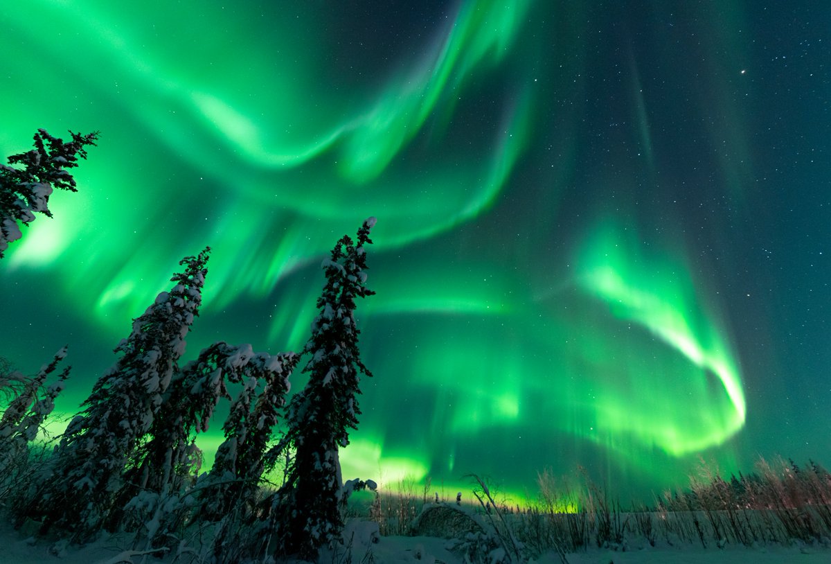 EBleicher's tweet photo. Under the aurora is the best place to be 💫 https://t.co/qTOBbvwiP4