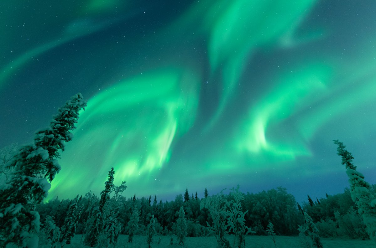 EBleicher's tweet photo. Under the aurora is the best place to be 💫 https://t.co/qTOBbvwiP4