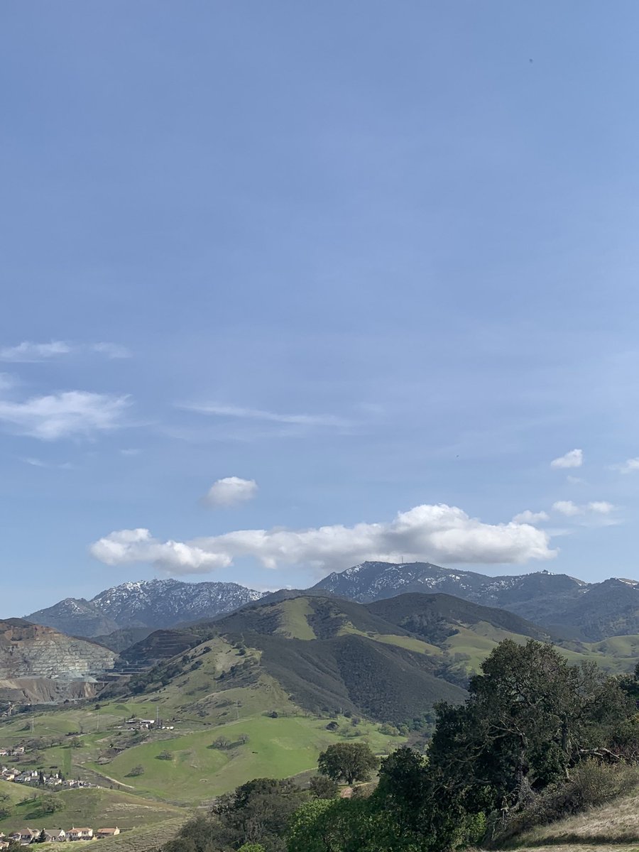 lichen_diablo (@retiredpinhead) on Twitter photo 