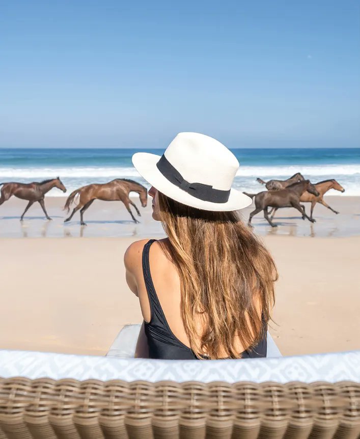 The adventure of a lifetime awaits 🐴 ⬇️
buff.ly/3ELSC4x