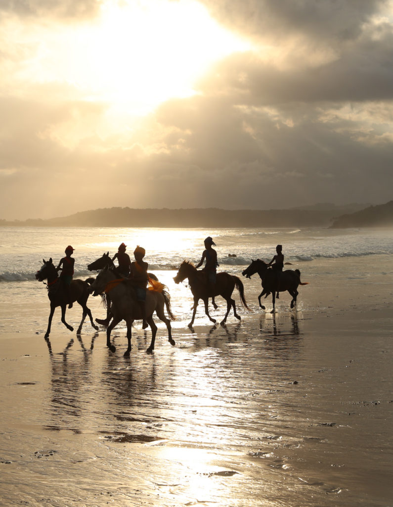 Equestrian Living tweet media