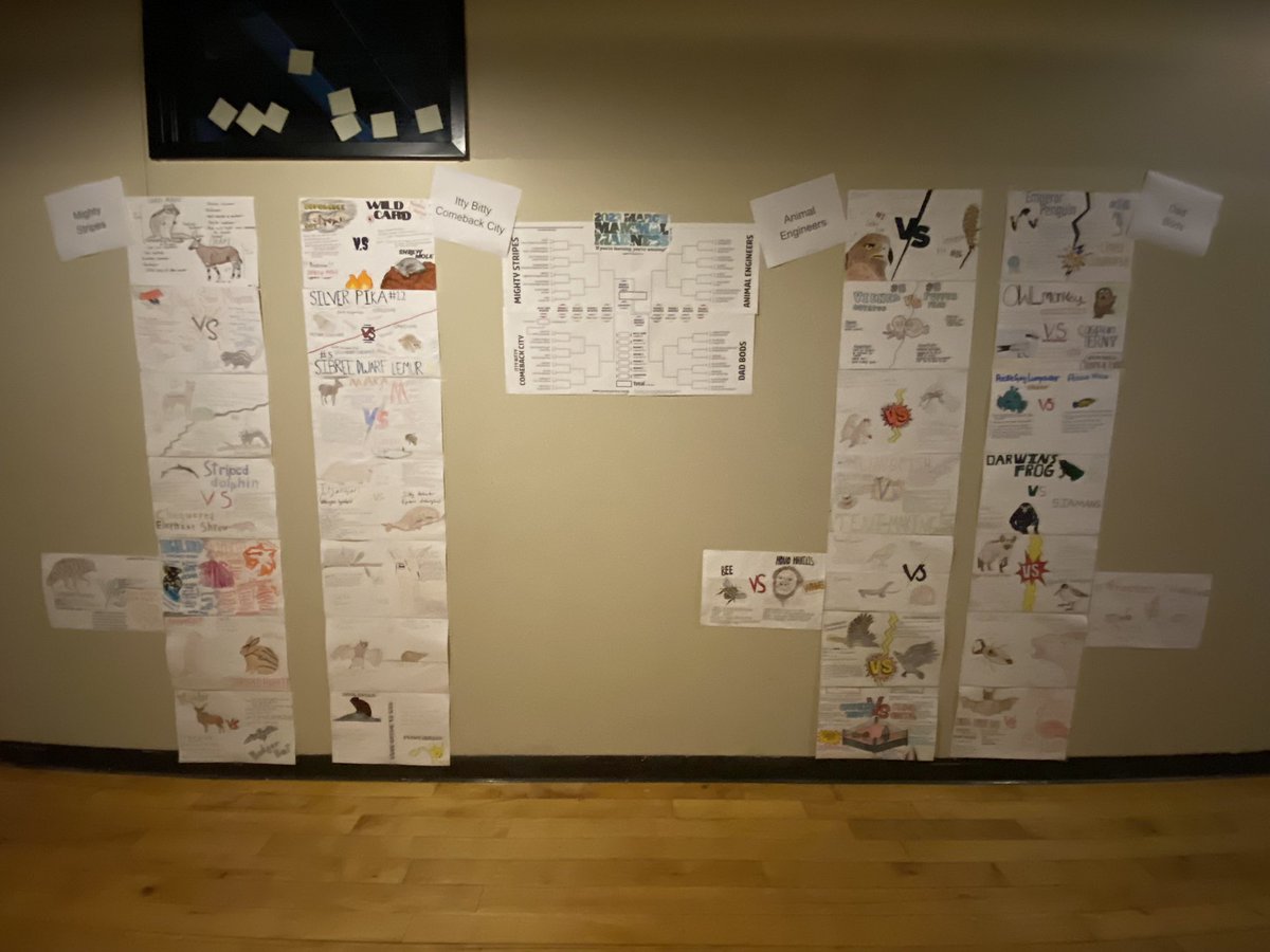 The BEST time of the year…iykyk!! Hype posters are made, bring on the battles!! <a href="/Mammals_Suck/">Prof. Katie Hinde</a> #MMM2023