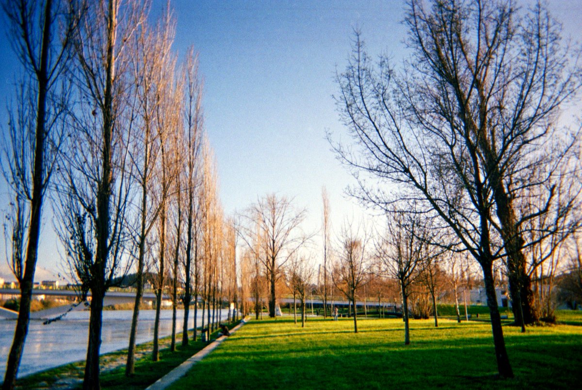 rita_diz's tweet photo. coimbra (but make it on film) https://t.co/9haa8Fo3PP