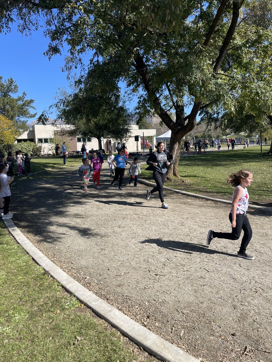 BV Bobcats tweet media