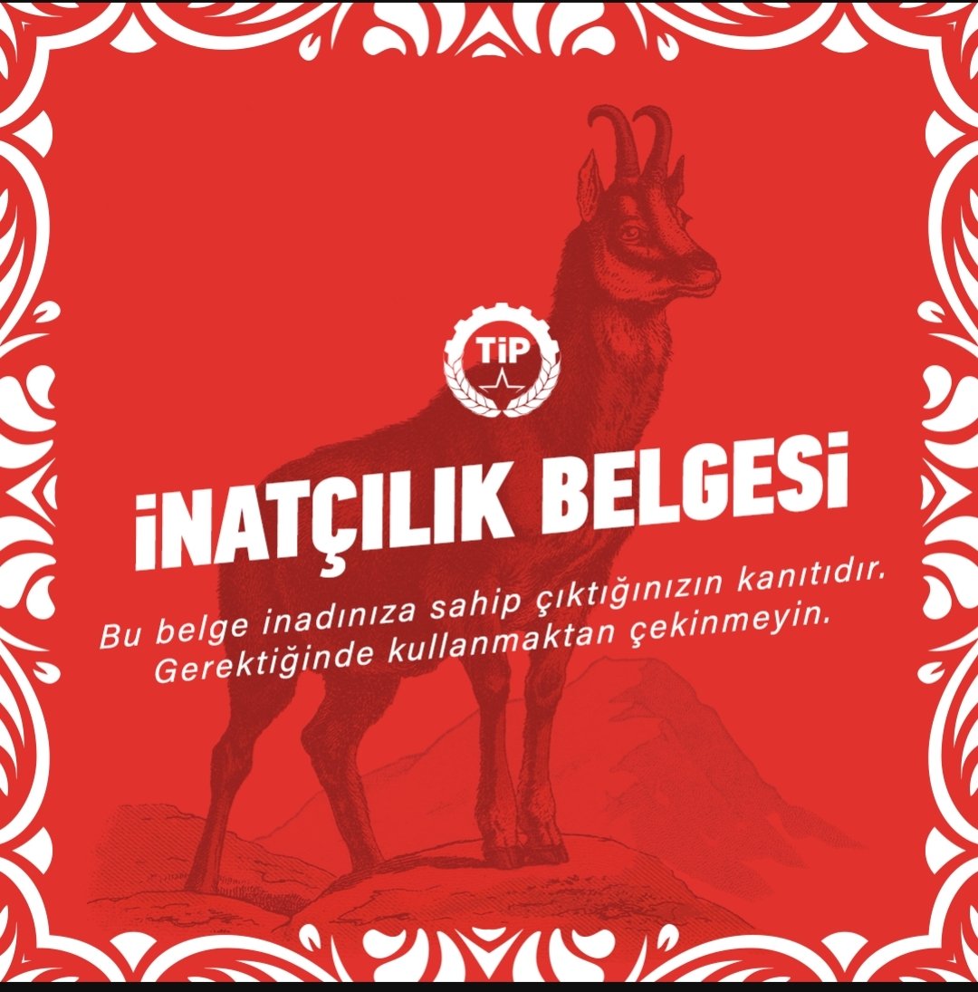 nükleer goril (@gevezekarga7) on Twitter photo İnadım inat demeye bu zulme artık yeter demeye geldim! <a href="/tipgenelmerkez/">Türkiye İşçi Partisi</a> @oyumtipeolacak İnadım inat demeye bu zulme artık yeter demeye geldim! <a href="/tipgenelmerkez/">Türkiye İşçi Partisi</a> @oyumtipeolacak