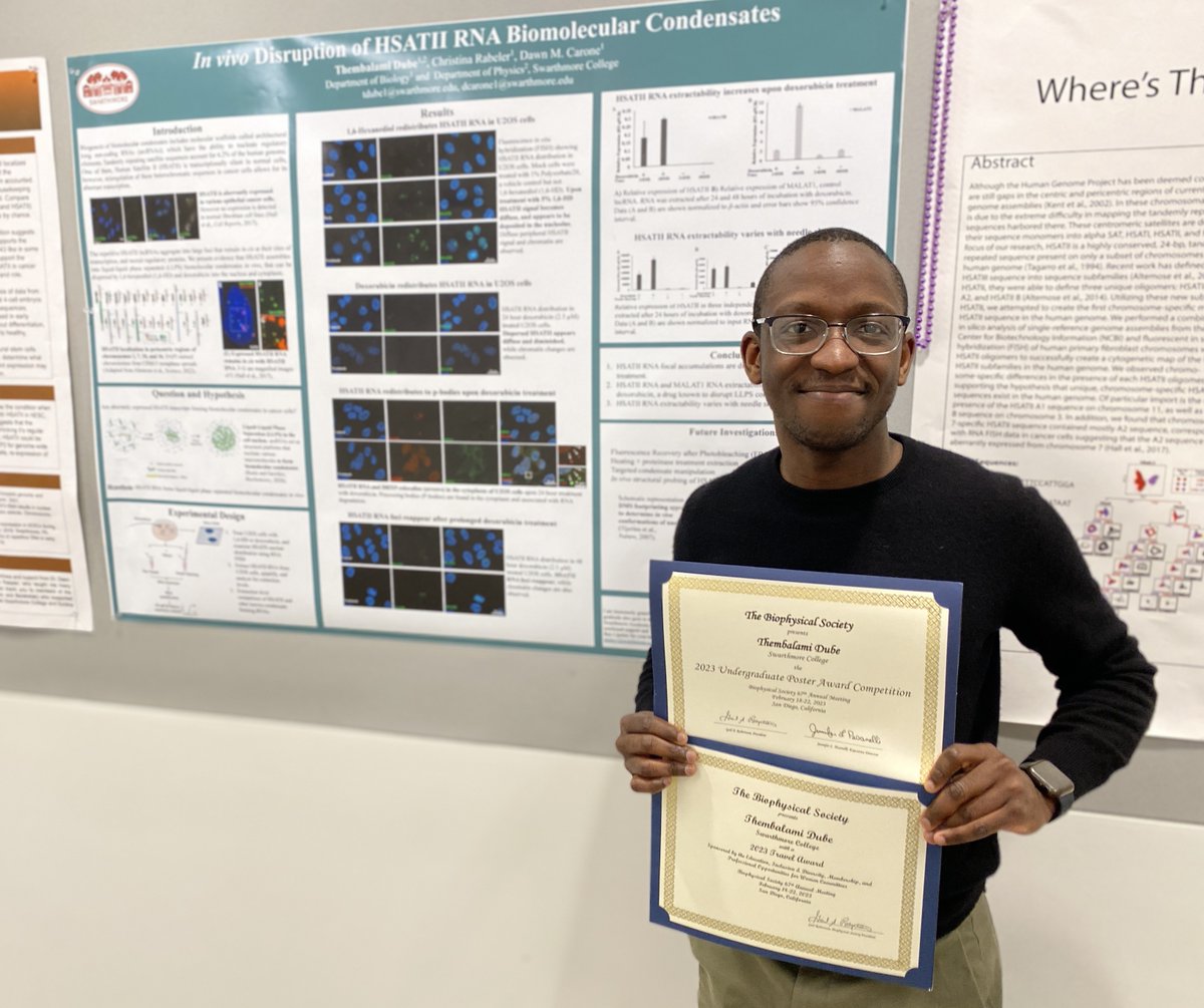 Carone Lab (@caronelab) on Twitter photo Congrats to Thembalami Dube from the lab, who won both a travel award and a Best Undergraduate Poster Presentation from the <a href="/BiophysicalSoc/">Biophysical Society</a> meeting #bps2023! Congrats to Thembalami Dube from the lab, who won both a travel award and a Best Undergraduate Poster Presentation from the <a href="/BiophysicalSoc/">Biophysical Society</a> meeting #bps2023!