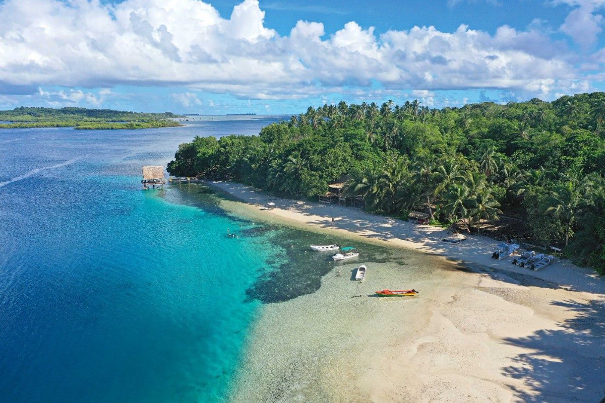 MicroDreams_Fdn's tweet photo. Wrapping up the week with some #solomonislands facts. 

The islands and waters are special for their biodiversity, containing thousands of different plant and animal species. Many species are known only to the Solomons. https://t.co/sRlVGR5ow1