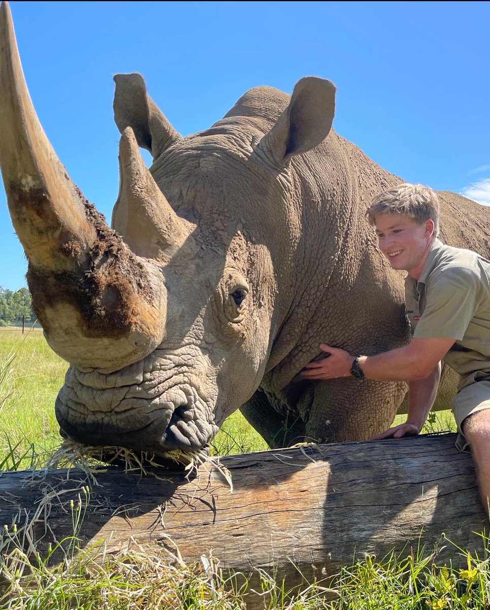RobertIrwin's tweet photo. Happy #WorldWildlifeDay, I’m proud to work every day for the protection and preservation of our world’s wildlife and their habitats. Best job in the world. https://t.co/N3JRqSei0A