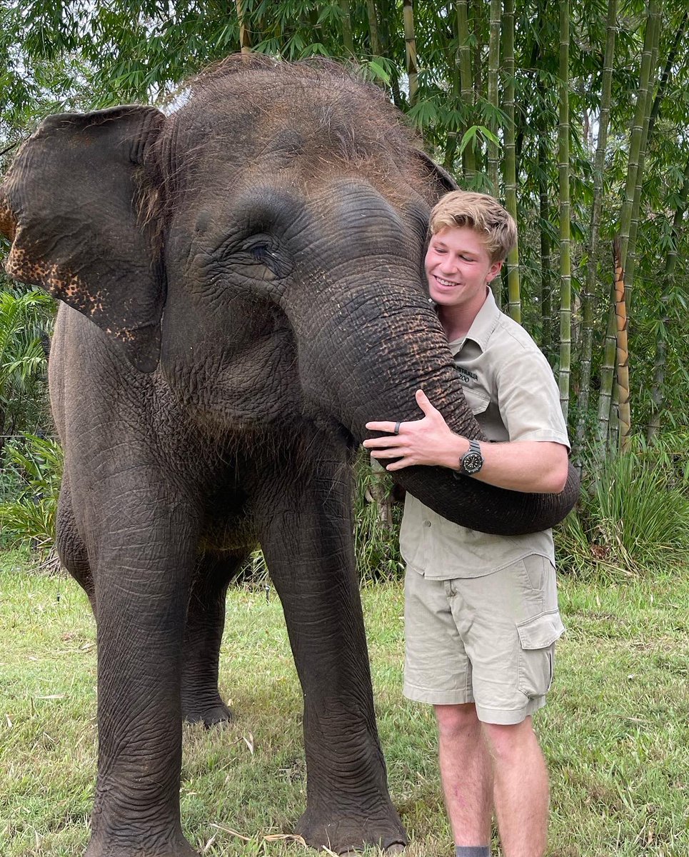 RobertIrwin's tweet photo. Happy #WorldWildlifeDay, I’m proud to work every day for the protection and preservation of our world’s wildlife and their habitats. Best job in the world. https://t.co/N3JRqSei0A