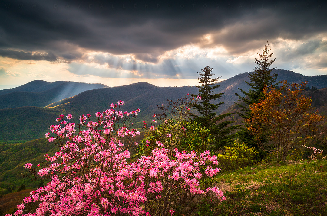Garden of the Gods - Who's stoked about #spring returning to our beautiful Blue Ridge Mountains? Hope y'all have an awesome weekend!  #blueridgemountains #asheville #northcarolina #Nikon #photography #photooftheday #landscapephotography