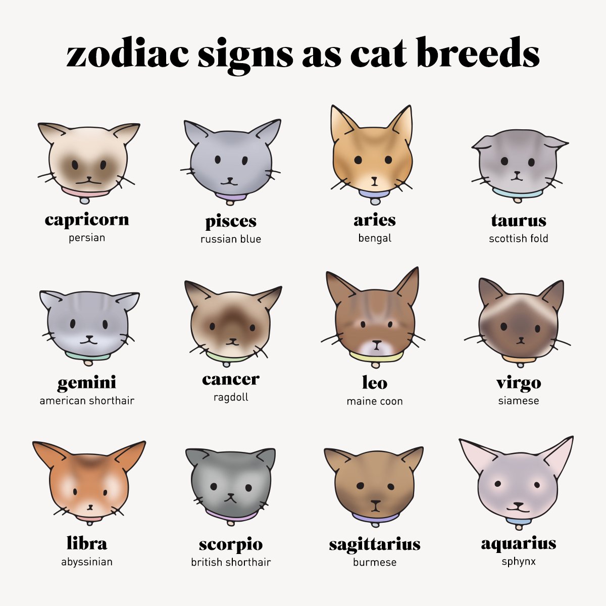 Dr. Elsey's (drelseys) / Twitter