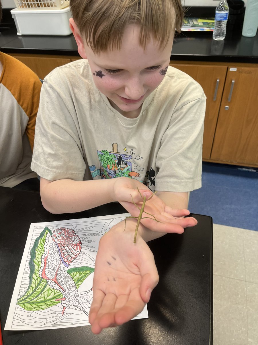 More stick bugs observation…<a href="/Dr_BethHoffman/">Beth Hoffman</a> <a href="/HopewellES/">Hopewell Elementary School</a>