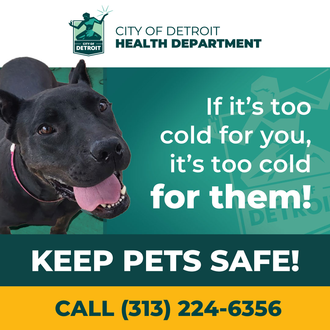 DetHealth's tweet photo. There's a winter storm watch with potential for up to 6 inches of snow. Let’s take care of our furry friends. They’re counting on you! #BringThemIn 🐶🐱

For other tips on caring for your pet in cold weather visit https://t.co/SpD7LjPYzp
#DetroitCares❤️ #OneDetroit https://t.co/QxrQu2gWbr