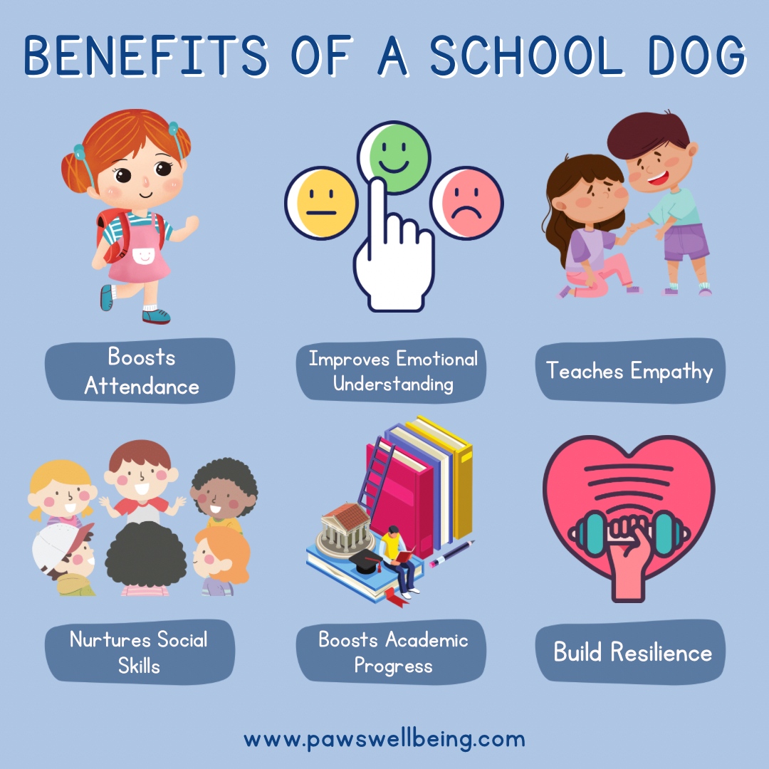 PAWS are huge advocates for implementing dogs in schools ethically and successfully and here are a few reasons why!

#dog #animalassistedtherapy #schooldog #animaltherapy #picoftheday #dogs #professionals #counsellors #educators #therapist #therapy #neurodivergence #sen #school