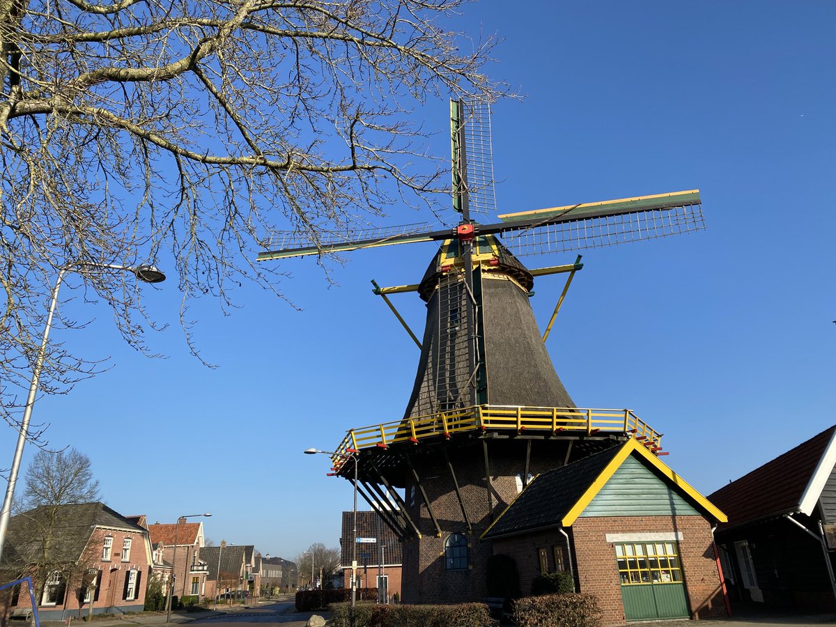 Truus Wijnen tweet media