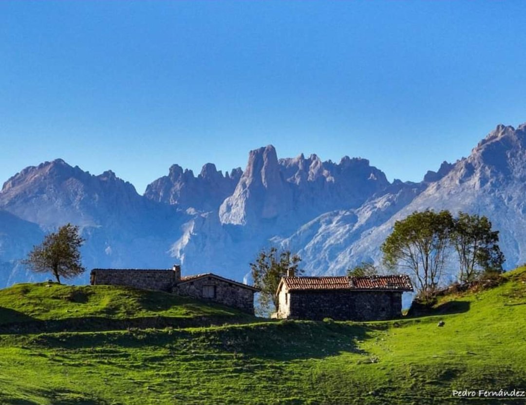 VientuNordes's tweet image. Mayada de Tebrandi col Urriellu de fondu.

Asiegu, Cabrales, Asturies

📷: Pedro Fernández