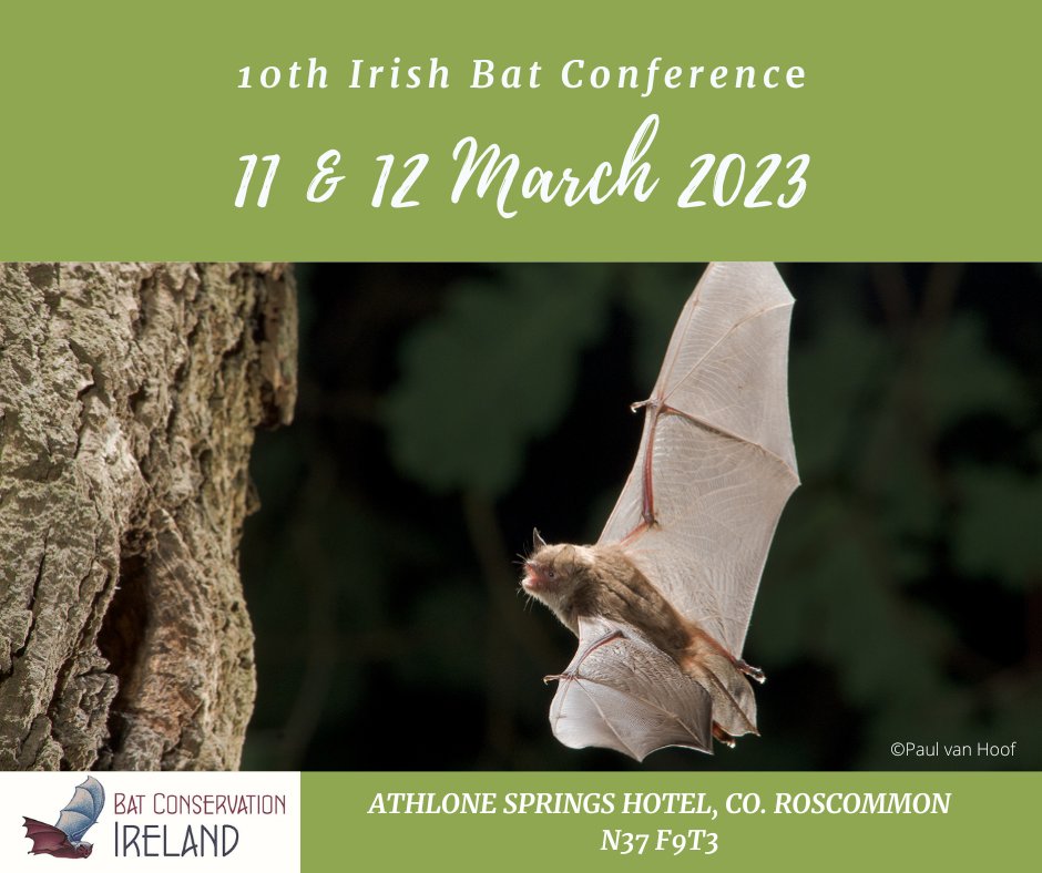 Final registrations for the 10th Irish Bat Conference are now being taken. Don't miss out on your chance to hear about the latest research and projects happening to protect our beautiful bat species! Register here: batconservationireland.org/event/bat-cons…