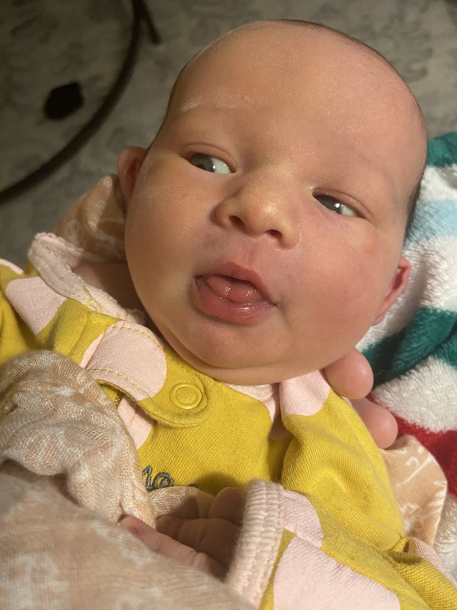 ciararose_'s tweet photo. Look at my baby 🥹 https://t.co/A6a9MwQ0lw