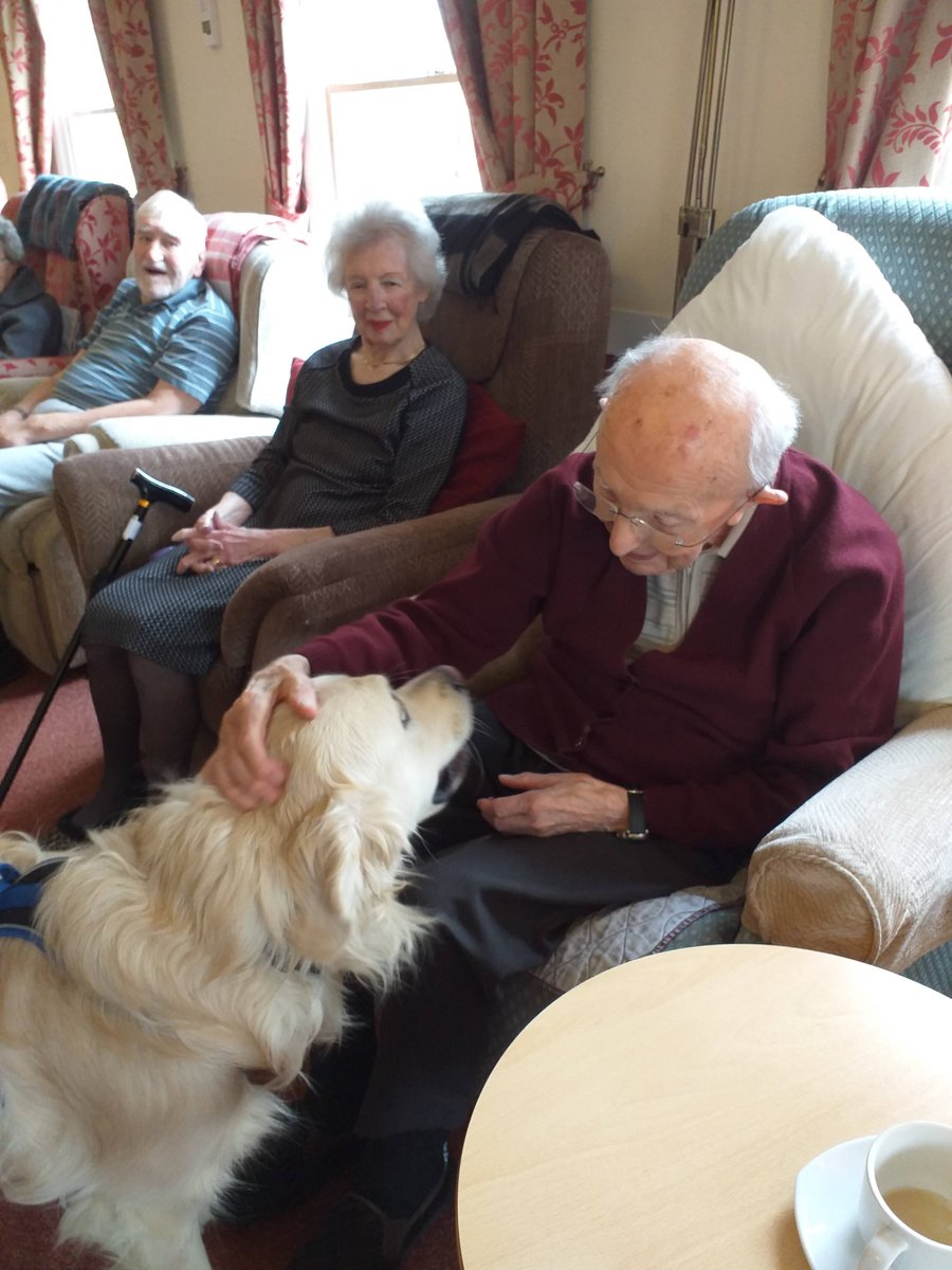 LornaJo23147054's tweet photo. Friday - it's chippy day! But first it's our exercise session with Tom and Oakley. @blackswancare @OakActivities #exercise #care https://t.co/mQGUwvxOjS