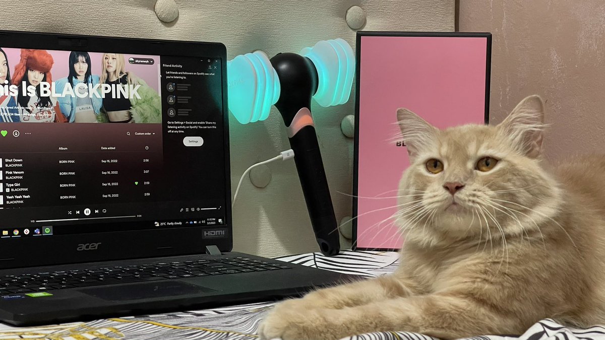 Shyrameyb's tweet photo. Thank you @luvJISOOqt ๐
Received my BP lightstick, all working and syncing properly. โบ๏ธ #JSQTProofs https://t.co/1IhOiFatBp