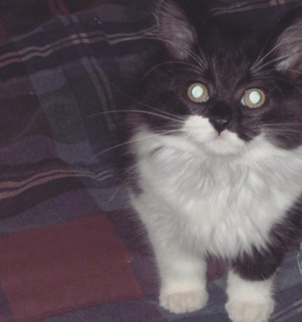 JSplendid's tweet image. 