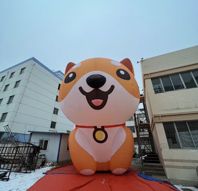 Baby Doge tweet media