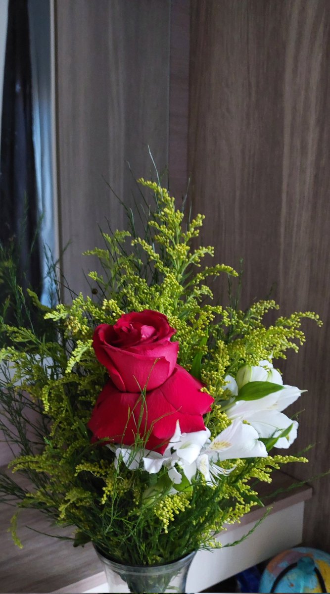 Sra_grz's tweet photo. Meu quarto fica mais lindo quando tem flores dele 🫶🏼🥰 https://t.co/aGZijC6gQA