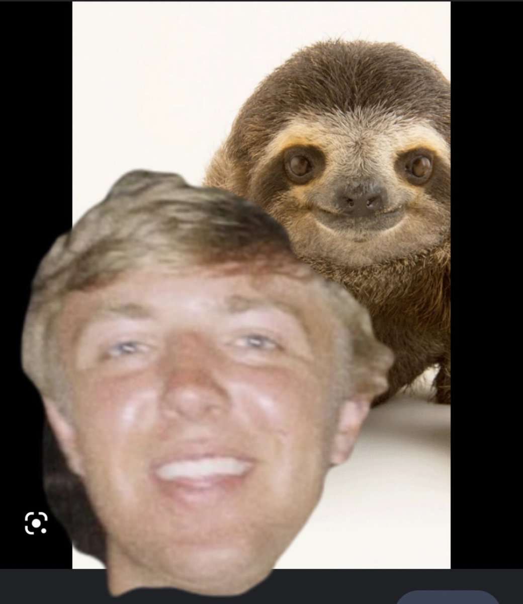 BillyYacovelli's tweet image. #spotthedifference #samepicture