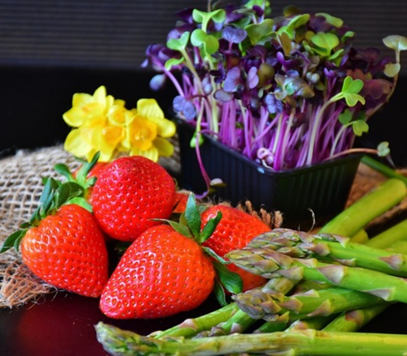 lifestylefoodi's tweet image. The Best Strawberry Seascape Grow Guide Information #HowtoGrow #Seascape #Strawberry

lifestylefoodies.com/the-best-straw…