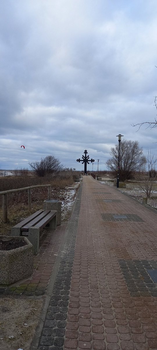 aster_log's tweet image. would you look at that