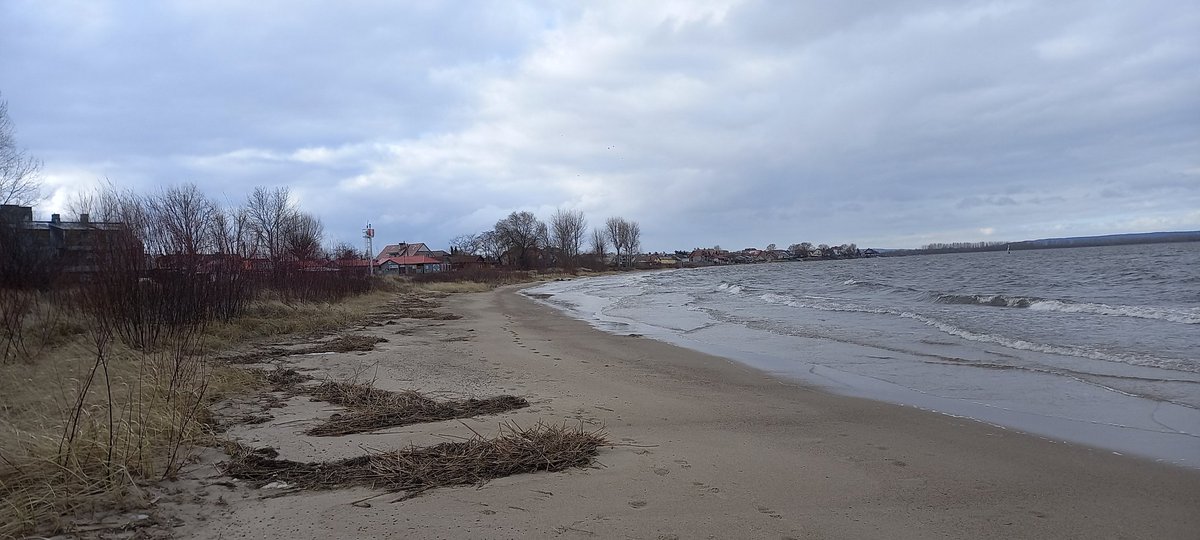 aster_log's tweet image. would you look at that