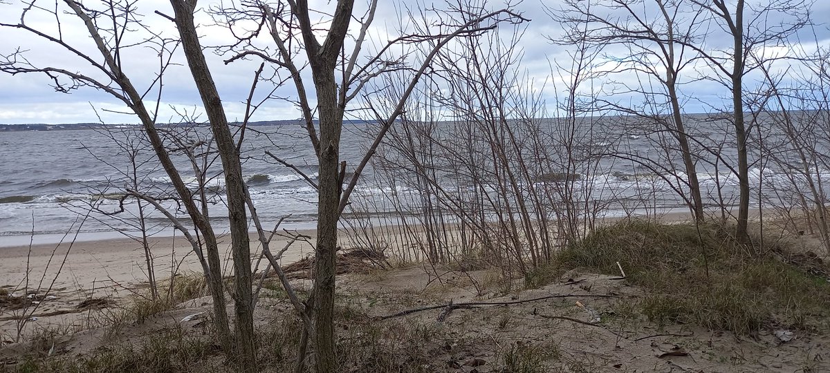 aster_log's tweet image. would you look at that