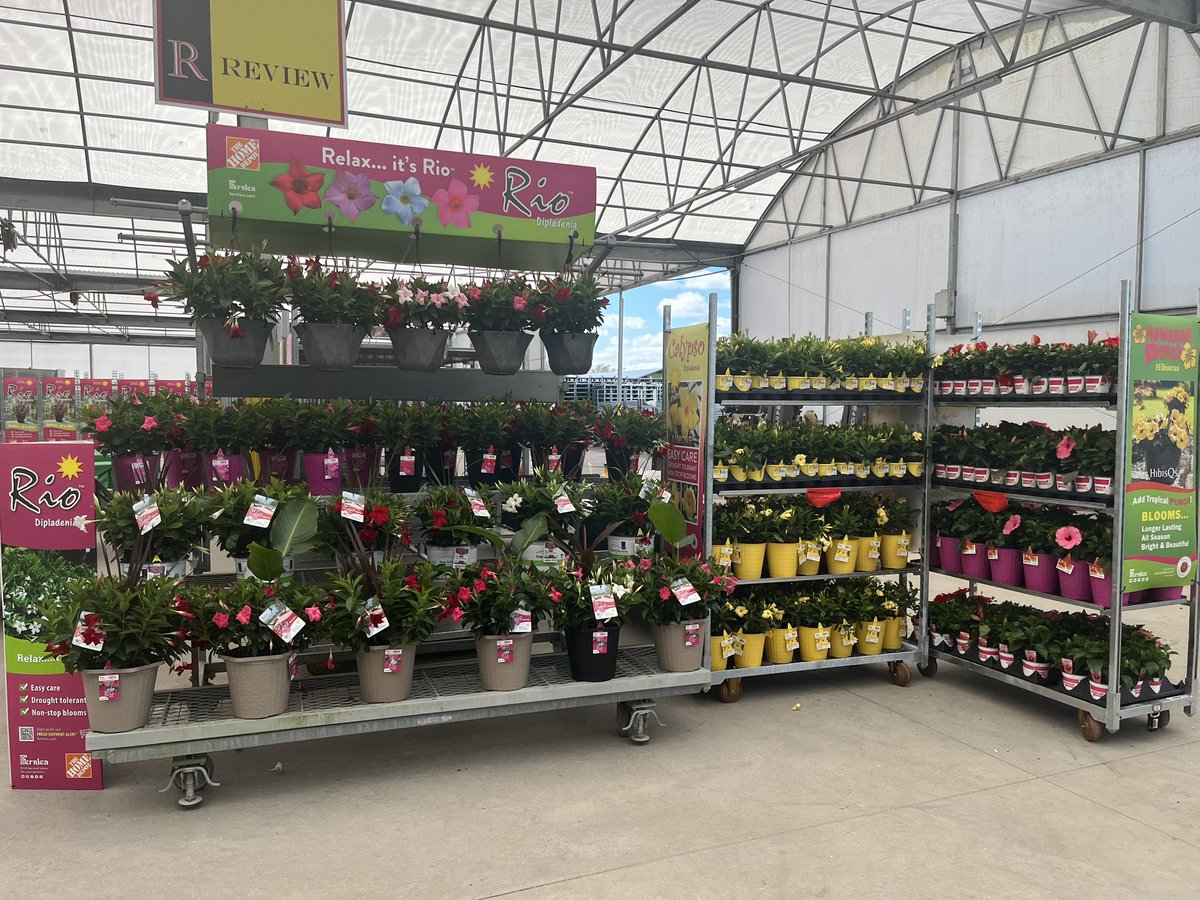 Stinchcomb Nursery Service tweet media