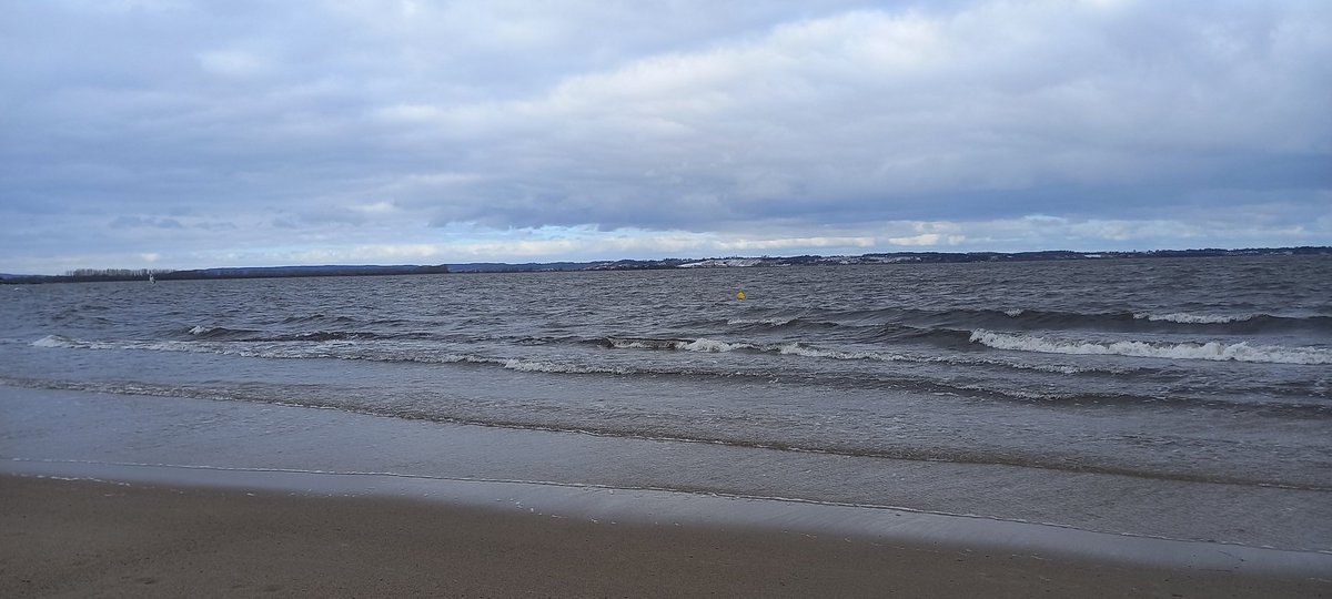 aster_log's tweet image. would you look at that