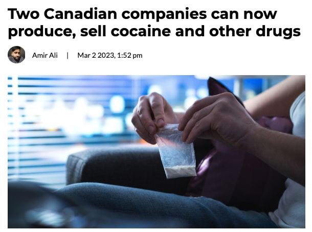 A Canadian cannabis company based in BC has gained approval to possess, produce, sell, and distribute cocaine.—DailyHive