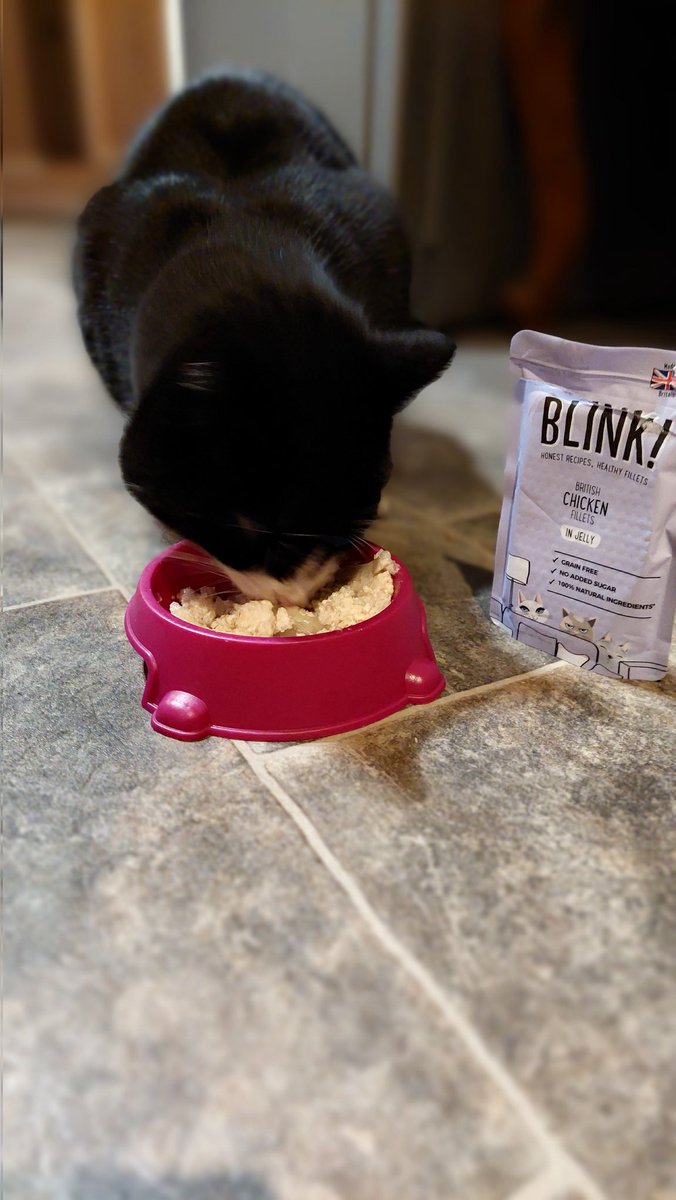 Well this is a winner 👊<a href="/blinkcatfood/">blinkcatfood</a> #triyit