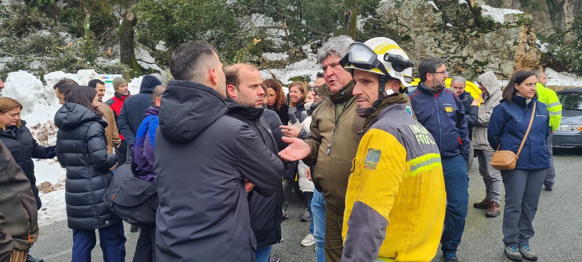 mirgual's tweet photo. Gràcies sinceres a les més de 70 persones d’@ibanat_IB @AgentsMediAmbIB i Servei de Gestió Forestal de la @cmat_ib que durant 4 dies han treballat intensament per restituir la situació provocada per la borrasca #Juliet. Una vegada més heu estat imprescindibles. Enhorabona! https://t.co/Lq7vonpvFj