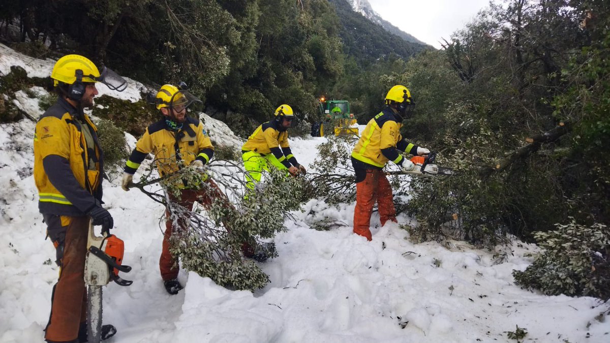 mirgual's tweet photo. Gràcies sinceres a les més de 70 persones d’@ibanat_IB @AgentsMediAmbIB i Servei de Gestió Forestal de la @cmat_ib que durant 4 dies han treballat intensament per restituir la situació provocada per la borrasca #Juliet. Una vegada més heu estat imprescindibles. Enhorabona! https://t.co/Lq7vonpvFj