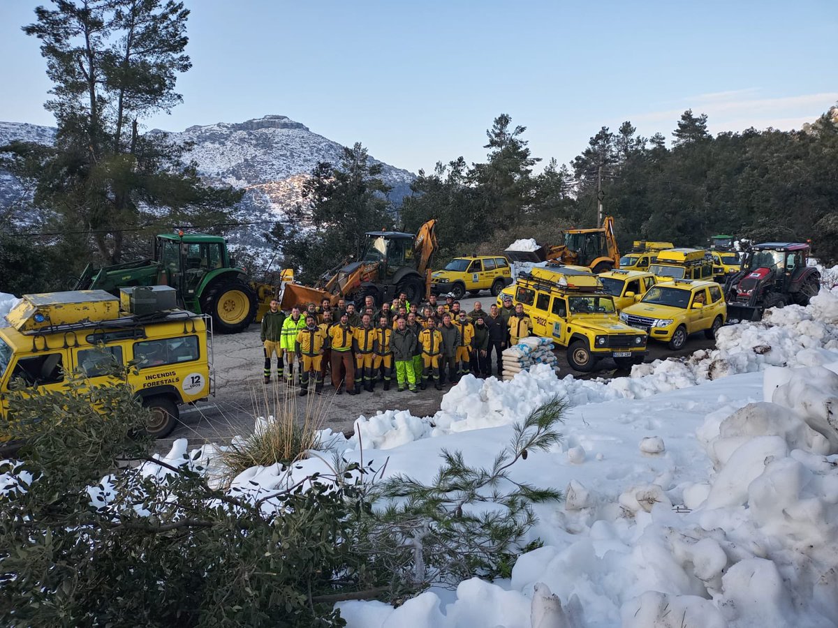 mirgual's tweet photo. Gràcies sinceres a les més de 70 persones d’@ibanat_IB @AgentsMediAmbIB i Servei de Gestió Forestal de la @cmat_ib que durant 4 dies han treballat intensament per restituir la situació provocada per la borrasca #Juliet. Una vegada més heu estat imprescindibles. Enhorabona! https://t.co/Lq7vonpvFj