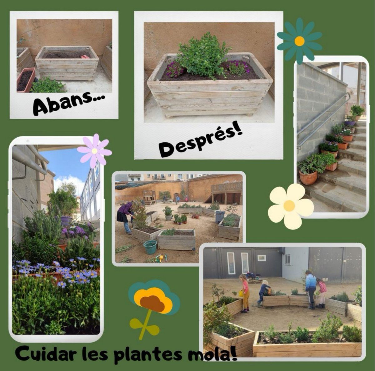 🌿 Quin goig que fan les plantes!

La Comissió de Jardineria i famílies voluntàries s'han dedicat a cuidar i refrescar la vegetació de l'escola