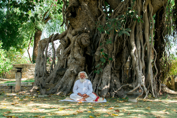 Romance with Nature — Siddhanath Newsletter - mailchi.mp/siddhanath/mar…