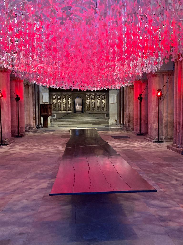 Rochester Cathedral on Twitter "Wow! The incredible Fenland Black Oak