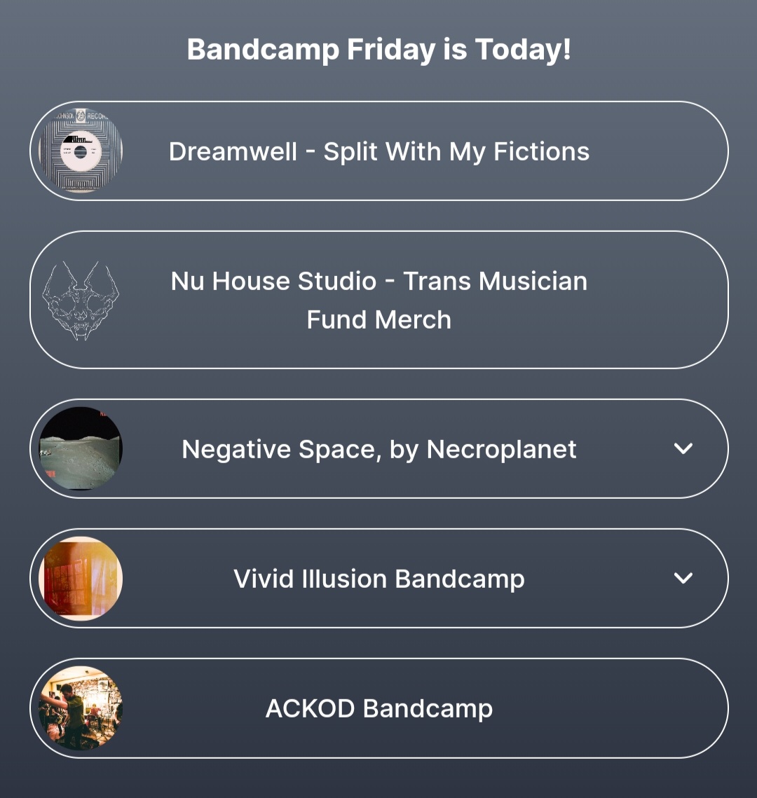 For this BC Friday all s*les from any of my bands will go to My Sistah's House, an org in Memphis, Tennessee that focuses on providing trans women of color with emergency housing.