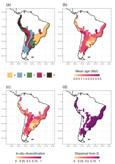 "Herodotools: An R package to integrate macroevolution, biogeography, and community ecology"