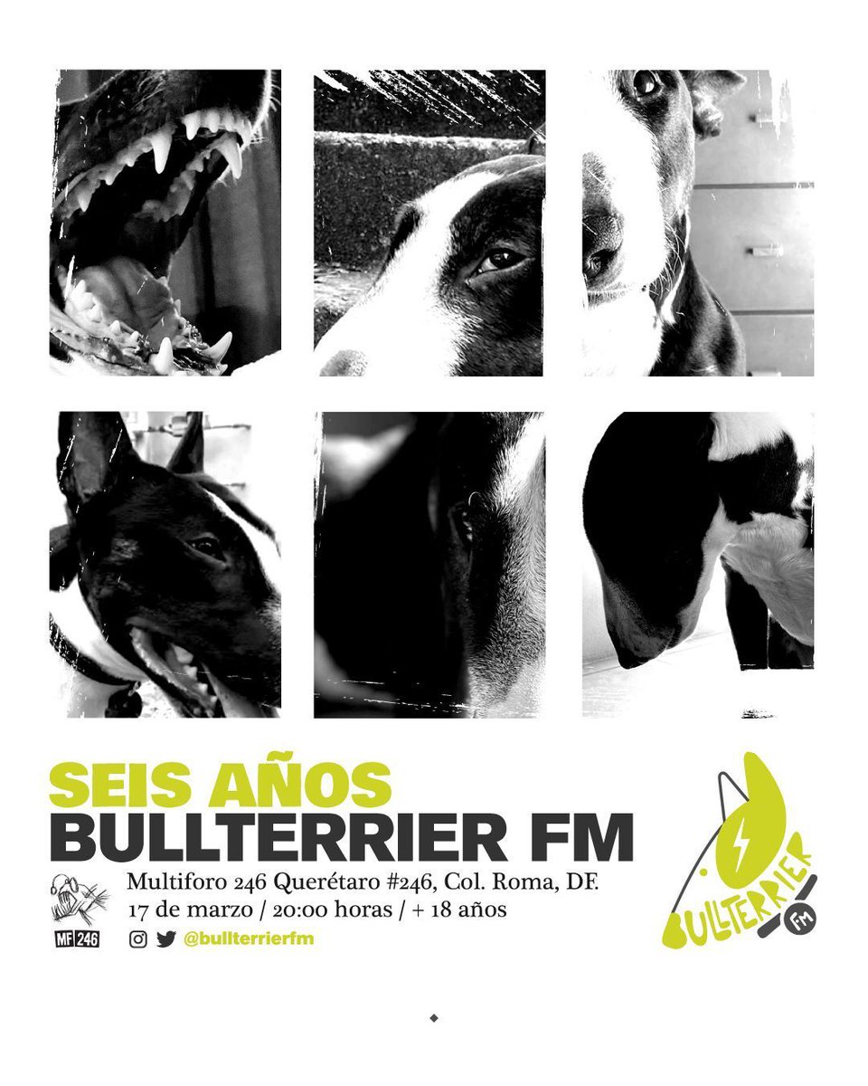 MultiForo246's tweet photo. Seis años no se cumplen cualquier día. Nuestros carnales de @BullterrierFM  celebrarán su sexto aniversario.

Aquí los esperamos con unos buenos tragos y música para festejar como se merecen. https://t.co/Hk9YQDcDvO