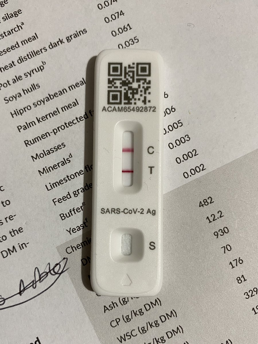 Prof. Jude Capper 🐄🐂🐑 tweet media