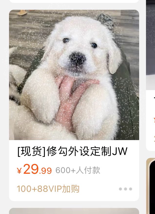 nstoj's tweet photo. Would you buy this dog? (He ate two vials of Polonium) https://t.co/T8VWgU4iqT
